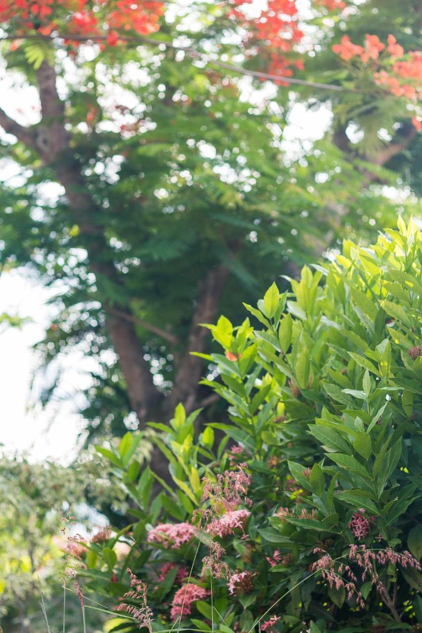 Pousada Solar Tropical Saquarema Eksteriør billede